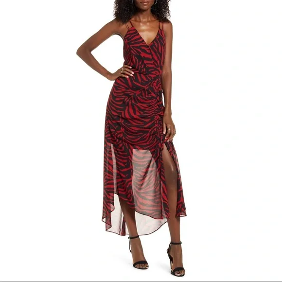 strapless open back dress Long Sleeve Swing Dress, Zebra Zone